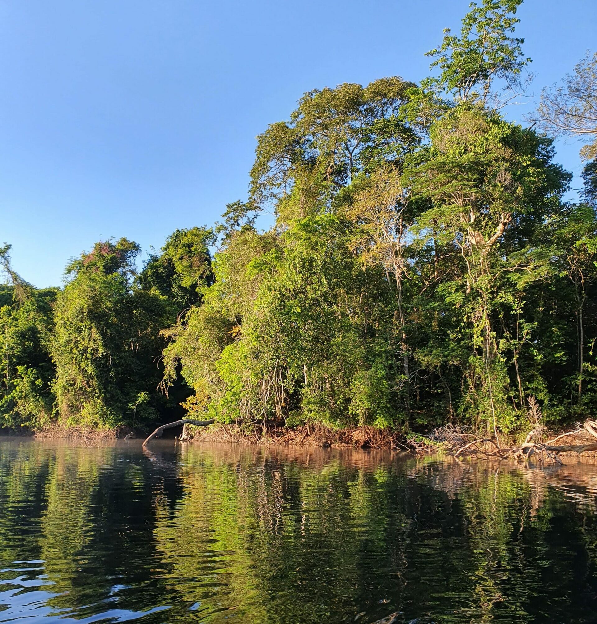 Rio Azul Jungle Lodge - Novo Progresso (PA). Foto: Divulgação: Rio Azul Jungle Lodge