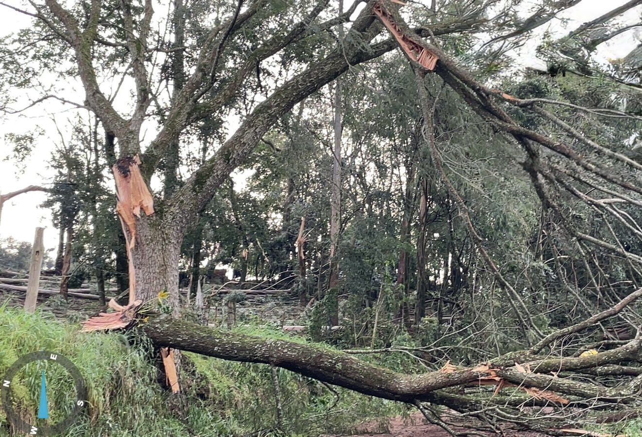 Vendaval em Anchieta (SC). Foto: Divulgação/Defesa Civil