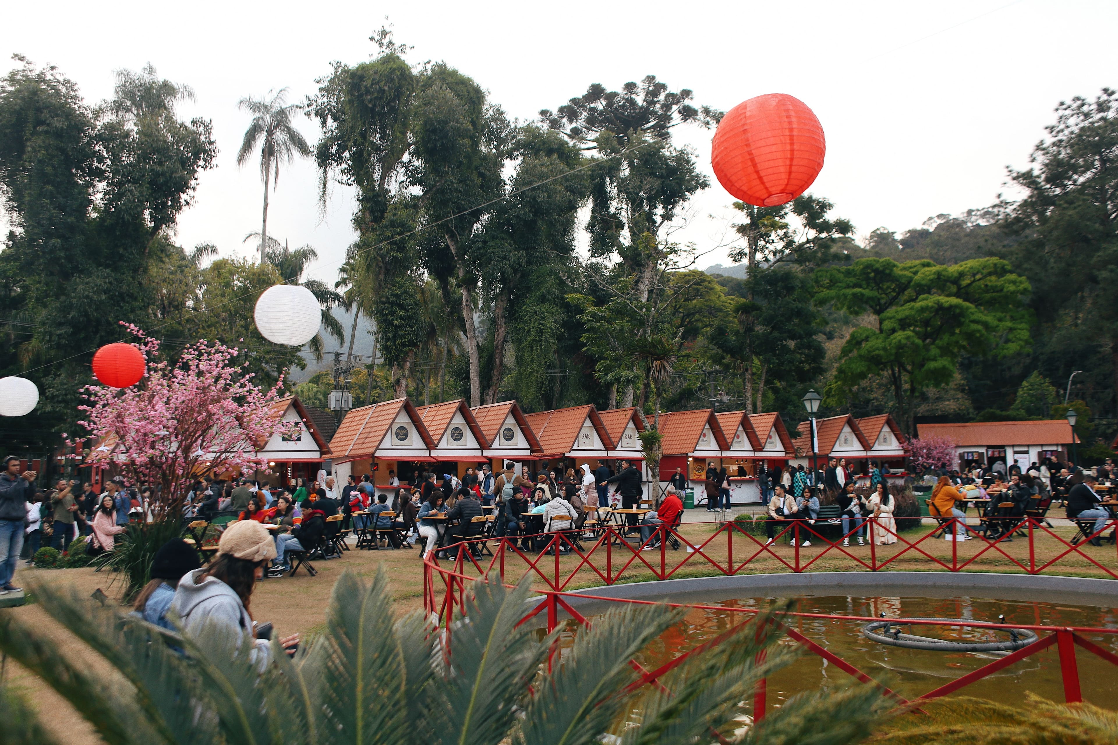 Festival Bunka-Sai - Petrópolis (RJ). Foto: Divulgação