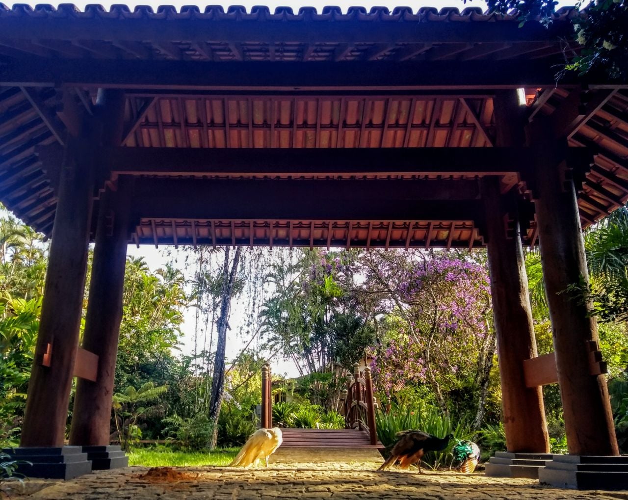 Local de visitação no Mosteiro Zen Morro da Vargem - Ibiraçu (ES). Foto: Divulgação: Mosteiro Zen Morro da Vargem - Ibiraçu (ES)
