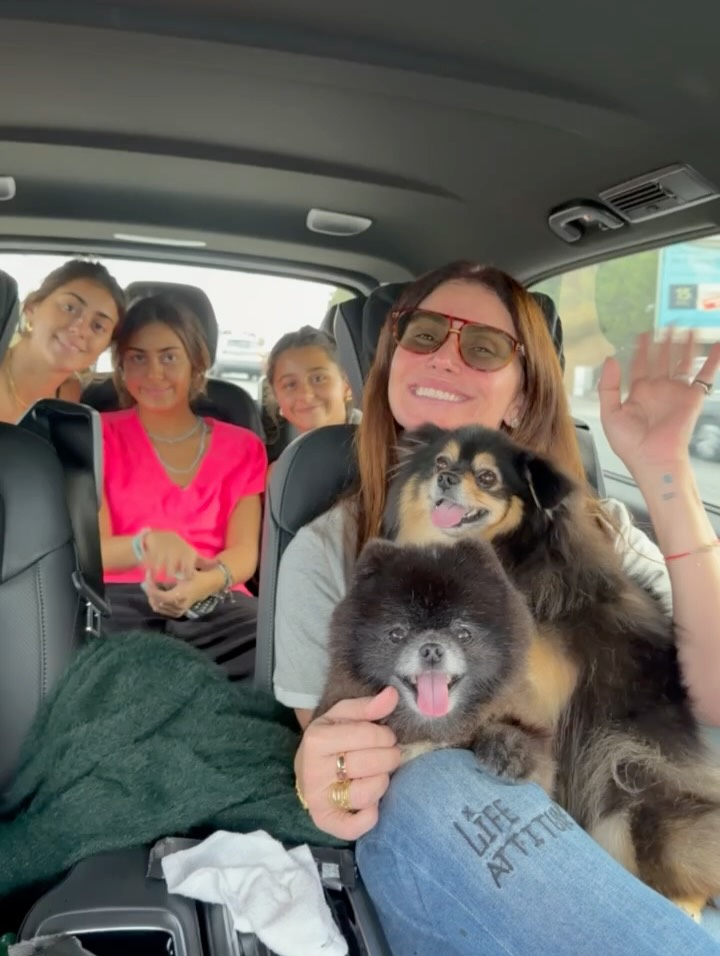Giovanna Anttonelli posa de biquíni ao lado de cachorros.. Foto: Reprodução/Instagram