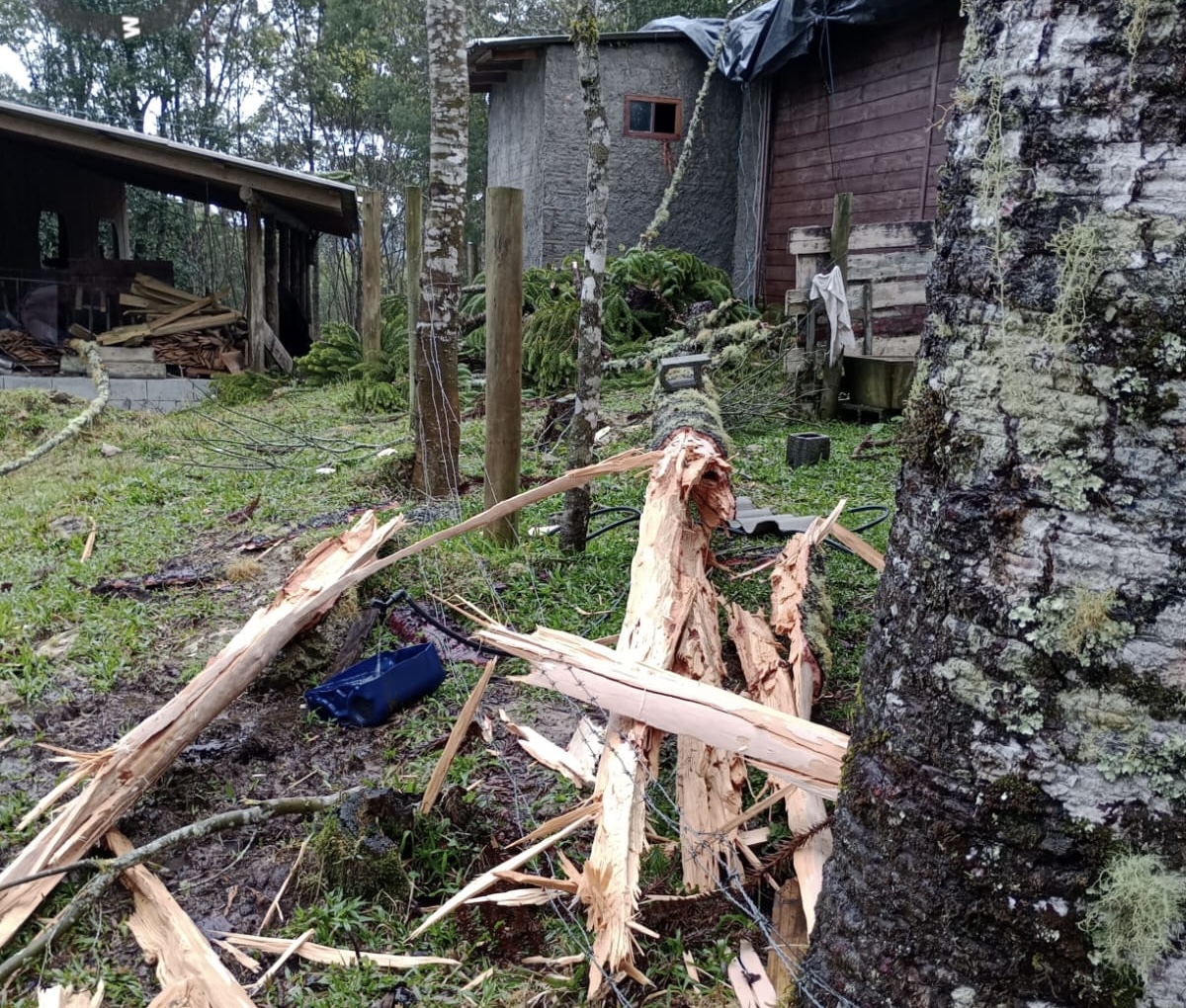 Vendaval em Bocaina do Sul. Foto: Divulgação/Defesa Civil