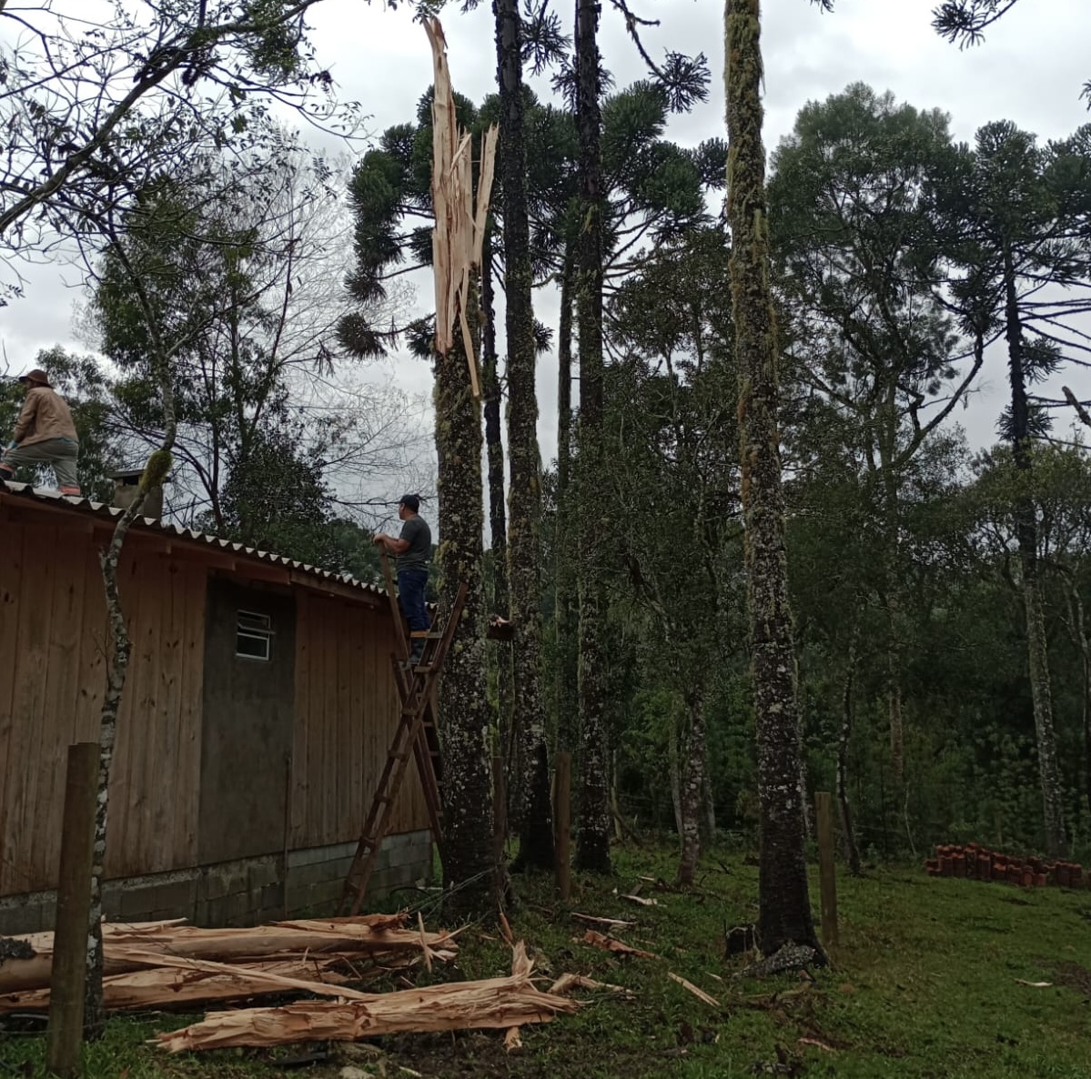 Vendaval em Bocaina do Sul (SC). Foto: Divulgação/Defesa Civil