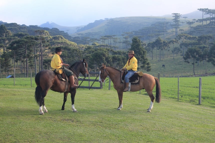 pousada Monte Negro - São José dos Ausentes - RS. Foto: Divulgação: Pousada Monte Negro