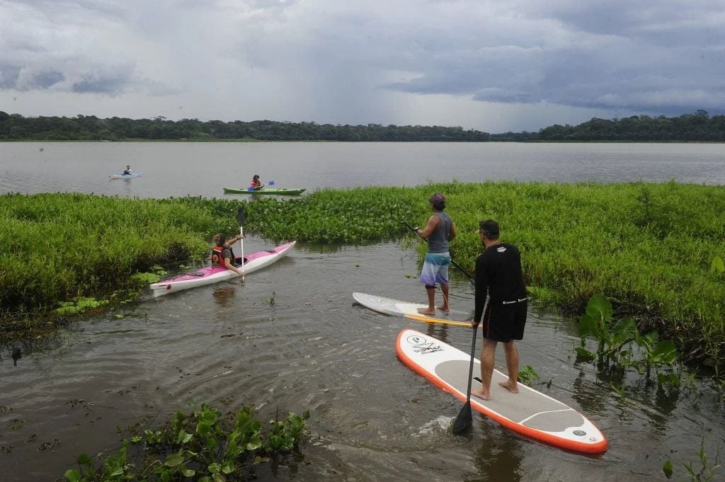 Parque Estadual da Utinga - Belém do Pará. Foto: Divulgação: Parque Estadual do Uitinga