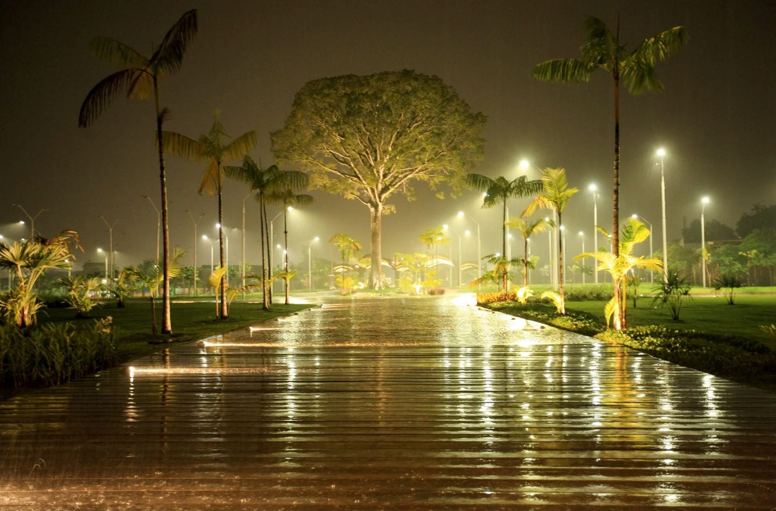 Parque Estadual da Utinga - Belém do Pará. Foto: Divulgação: Parque Estadual do Uitinga
