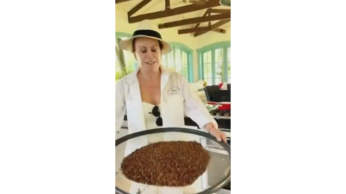 Fazenda de Ana Maria Braga. Foto: Reprodução/TV Globo