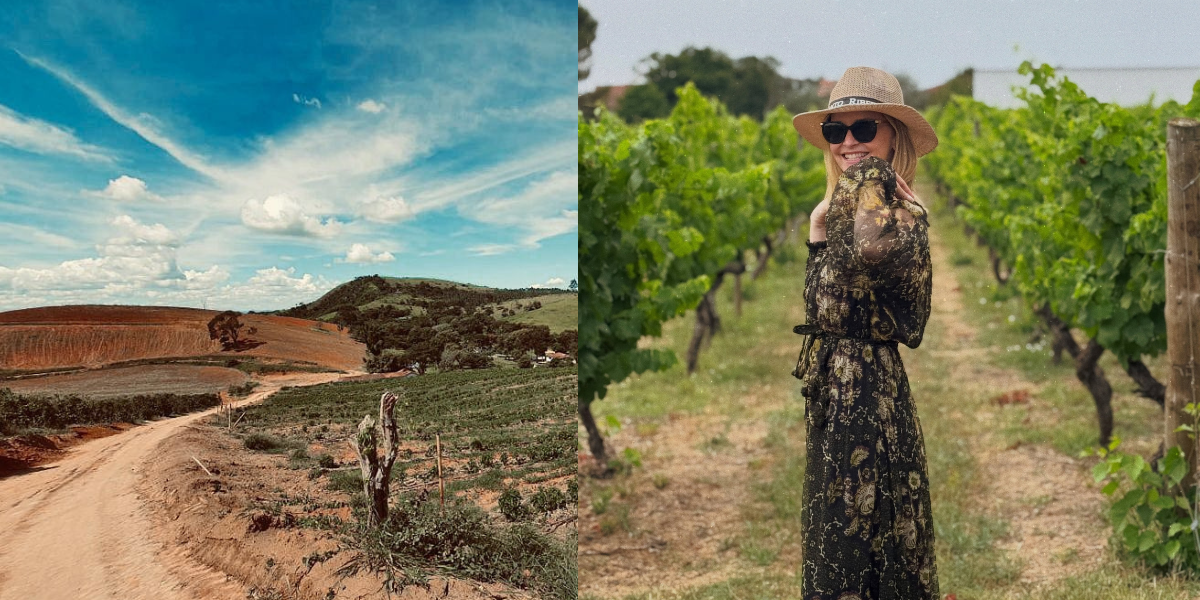 Fernanda Rodrigues recupera fazenda de 180 hectares e retoma produção de café.. Foto: Reprodução/Instagram