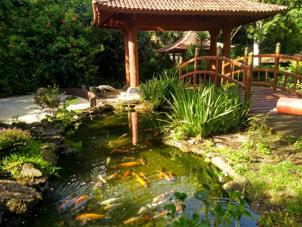 Local de visitação no Mosteiro Zen Morro da Vargem - Ibiraçu (ES). Foto: Divulgação: Mosteiro Zen Morro da Vargem - Ibiraçu (ES)