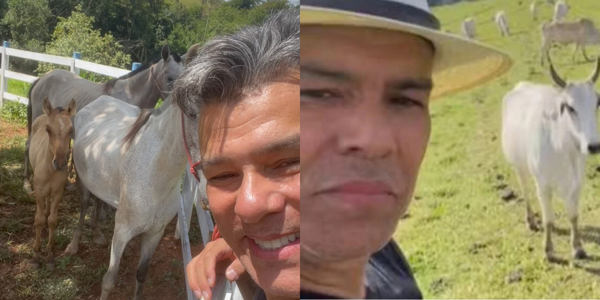 Maurício Mattar cria cavalos Mangalarga Marchador e gado Nelore em Haras. Foto: Reprodução/Instagram